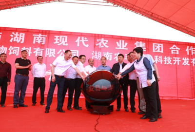 東安縣與湖南現代農業(yè)集團合作項目開工 總投資近2.6億元