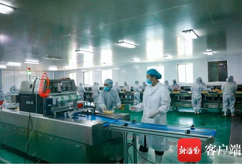 海墾集團(tuán) 加快推進(jìn)熱帶特色農(nóng)業(yè)產(chǎn)業(yè)發(fā)展 打造特色熱帶高效農(nóng)業(yè) 王牌